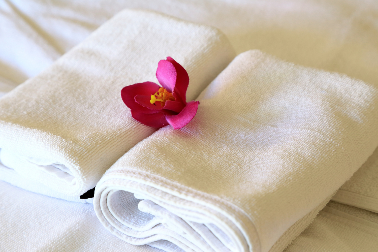 Laundry service for estheticians and spas